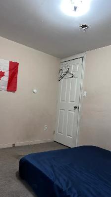 1 bedroom avalible on malton morningstar - Photo 2