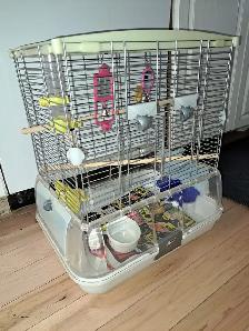 Perruche à donner avec cage - Photo 2