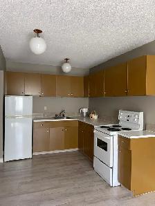 1 bd & 2 bd apartment by NAIT - 11926-105 ST - Photo 2