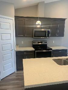 luxury townhome for lease/rent - Photo 3