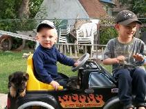 REGISTERED GERMAN SHEPHERDS - Photo 3