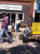 REGISTERED GERMAN SHEPHERDS - Photo 7