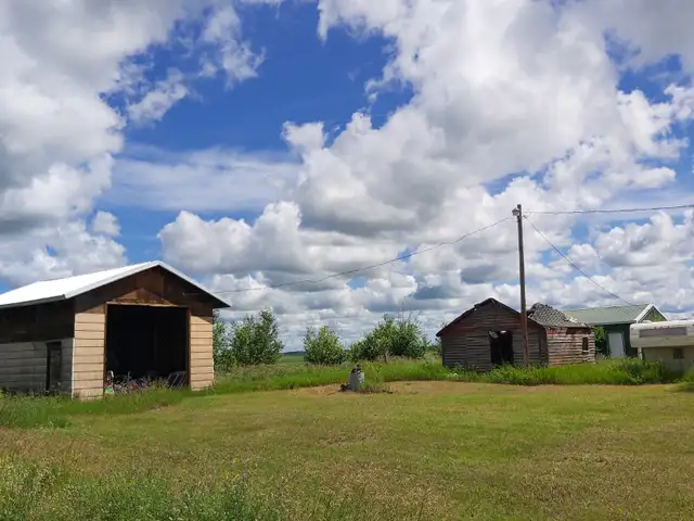 Acreage for quick sale! Handyman special! - Photo 3