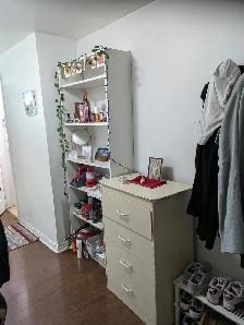 York University Subway, FEMALE ONLY, Room & Private Washroom - Photo 4