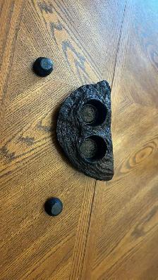 Crested Gecko with Terrarium - Photo 7