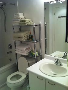 Gay Male to Share 2 Bed/ 2 Bath Condo Near Wellesley Subway - Photo 4