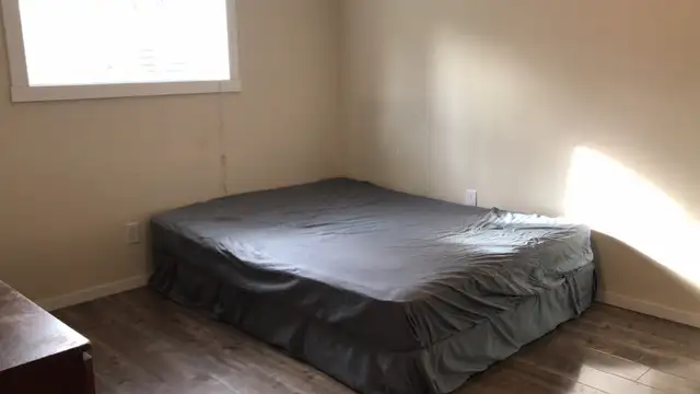 Available now c-train Mall university close downtown one room - Photo 4
