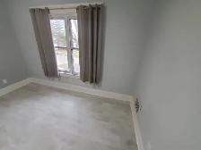 Luxury reno'd huge 5bd & 2bth near waterfront avail May 1st - Photo 9