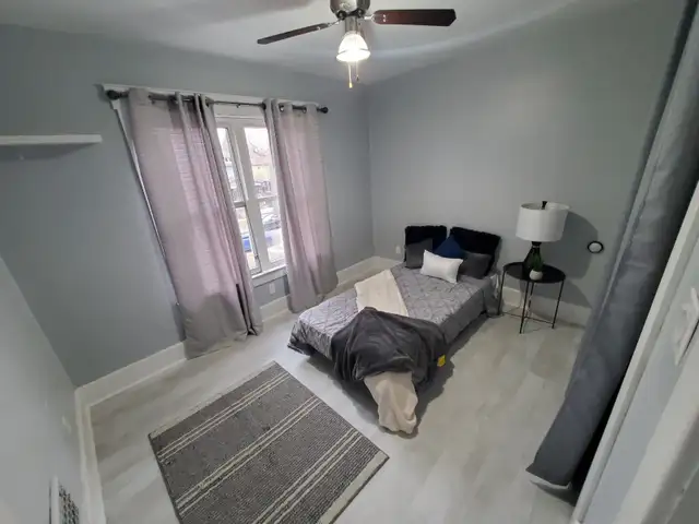 Luxury reno'd huge 5bd & 2bth near waterfront avail May 1st - Photo 20