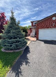 Lease 1 Br   Den Apartment (Not Share-Private - Low Price ) - Photo 10