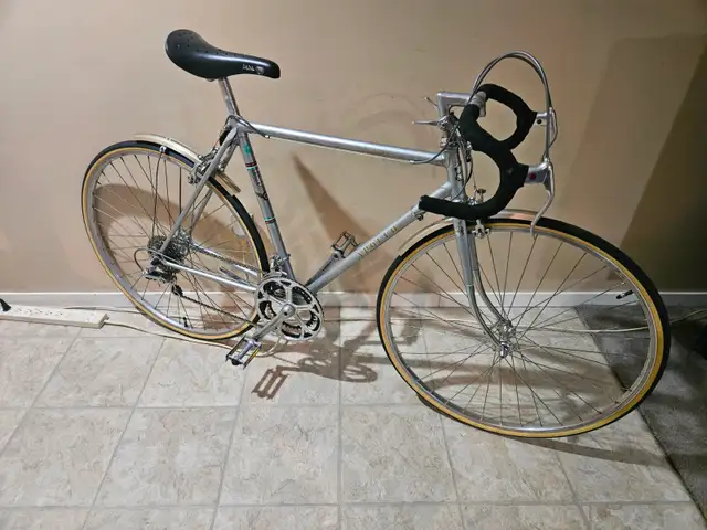 Apollo 'Custom Sport ' 53cm