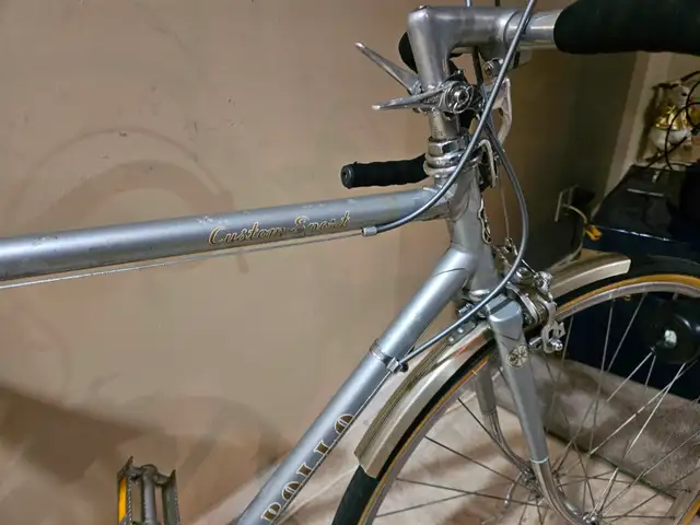 Apollo 'Custom Sport ' 53cm - Photo 4