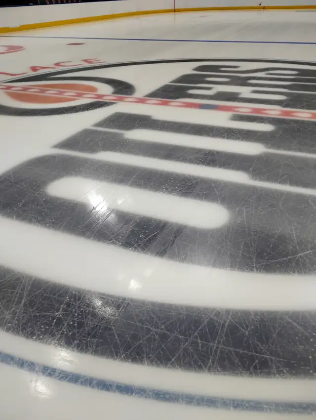 Snow removal / landscaper