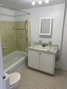 Logement 2 chambres 1 salle de bain à louer - Photo 2