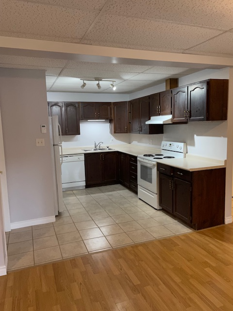 Apartment 15 mins from Huntsville, Quiet, Bright 2 BR, No stairs