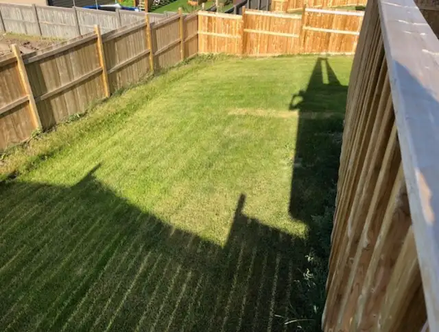 QUALITY, OPEN, 3 BEDROOM, GARAGE & FENCED YARD, FRANK ROSS AREA - Photo 10