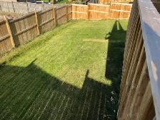 QUALITY, OPEN, 3 BEDROOM, GARAGE & FENCED YARD, FRANK ROSS AREA - Photo 10