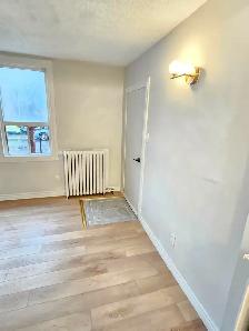 ($1250  renovated 1bedroomt on 1st floor apt.) - Photo 2