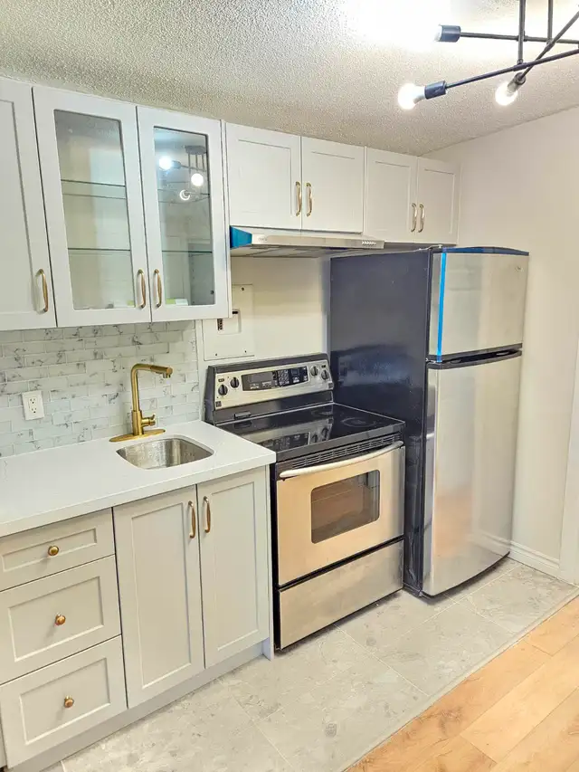 ($1250  renovated 1bedroomt on 1st floor apt.) - Photo 3