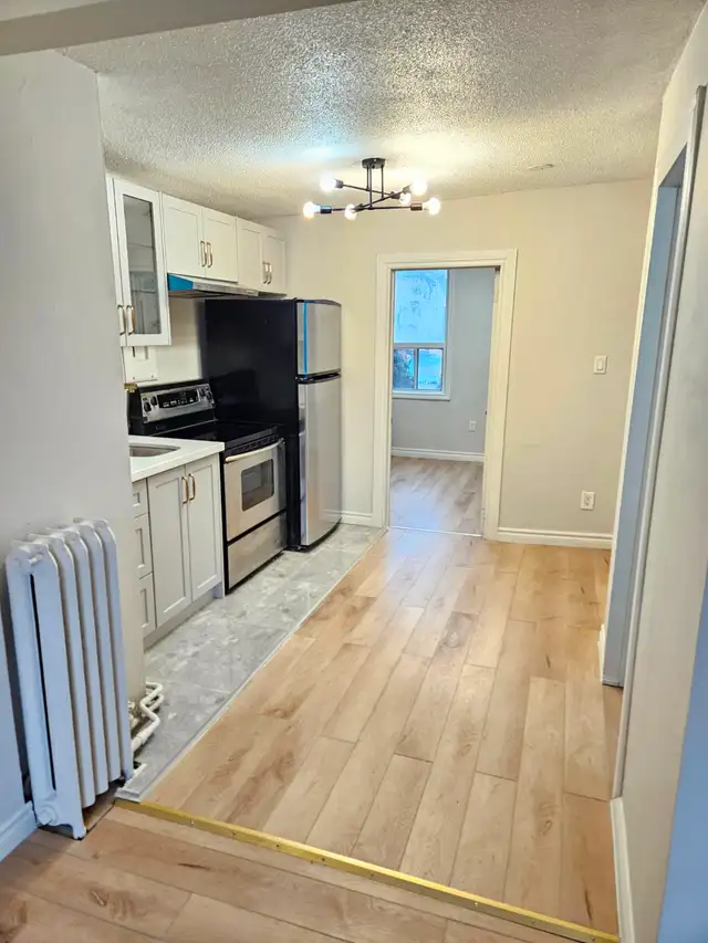 ($1250  renovated 1bedroomt on 1st floor apt.) - Photo 4