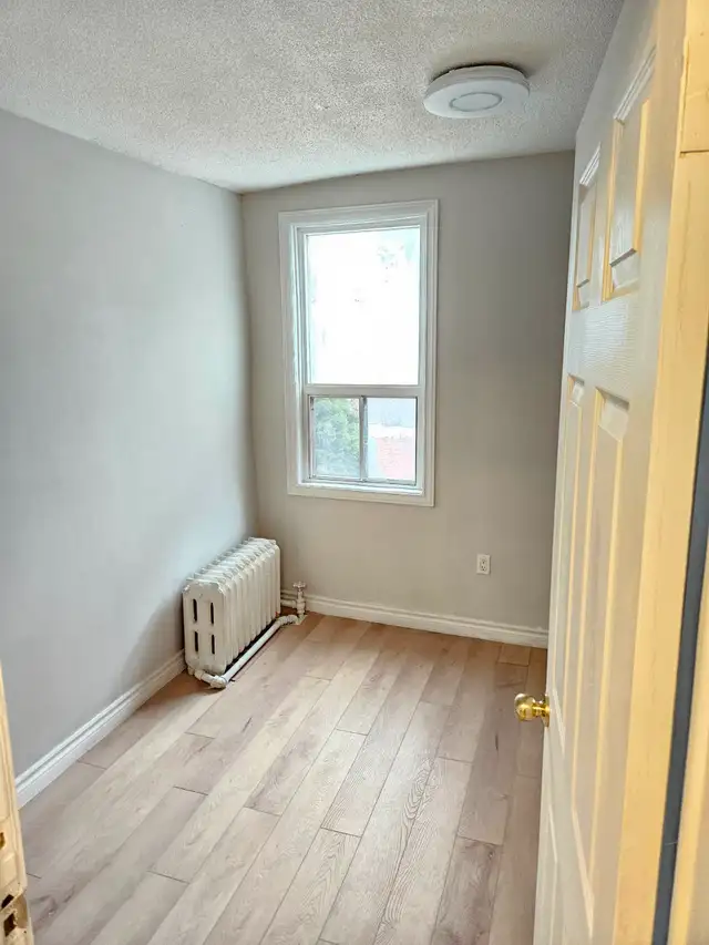($1250  renovated 1bedroomt on 1st floor apt.) - Photo 8