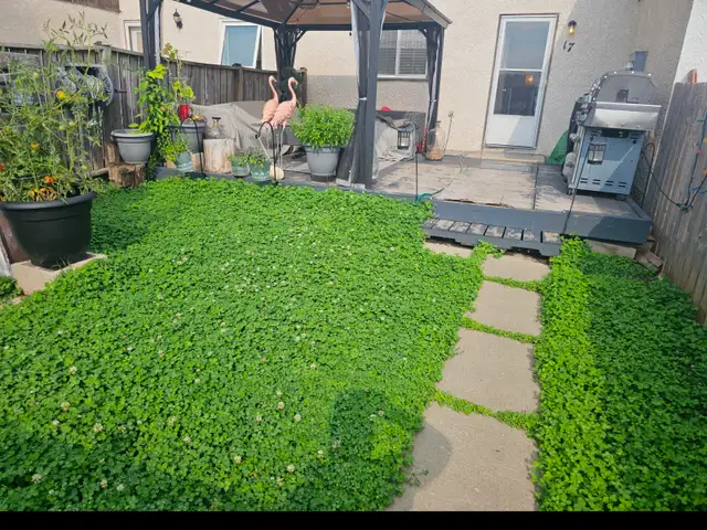 Spacious 3 Bedroom Townhouse in Transcona - Available May 1 - Photo 9