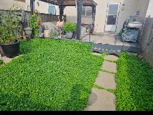 Spacious 3 Bedroom Townhouse in Transcona - Available May 1 - Photo 9