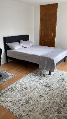 1 furnished room for rent Dowtown near M Atwater Montreal - Photo 10