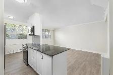 2 Bedroom Apartment for Rent - 115 Dowling Avenue - Photo 2