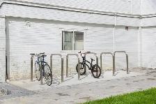 2 Bedroom Apartment for Rent - 115 Dowling Avenue - Photo 8