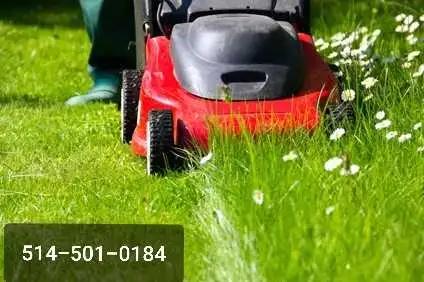 ✮Tonte de gazon à prix competitif✮