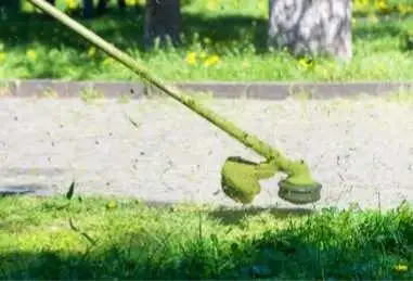 ✮Tonte de gazon à prix competitif✮ - Photo 4