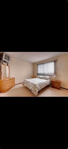 House for rent - Photo 8