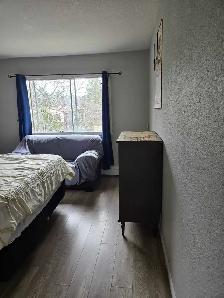 Room for Rent - Photo 2