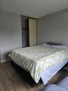 Room for Rent - Photo 3