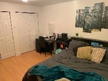 Magnifique 6½ - Plateau Mont-Royal – Rue St-Joseph est – Métro L - Photo 14