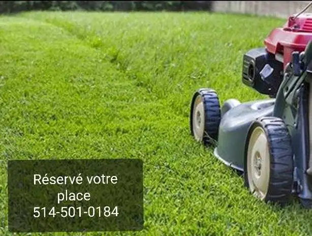 ⭐Lawn - grass cutting Best price⭐