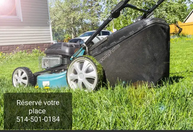 ⭐Lawn - grass cutting Best price⭐ - Photo 2