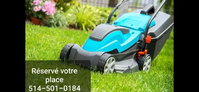 ⭐Lawn - grass cutting Best price⭐ - Photo 3