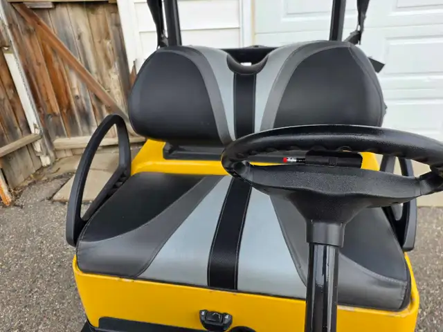 Electric Golf Cart - Photo 3