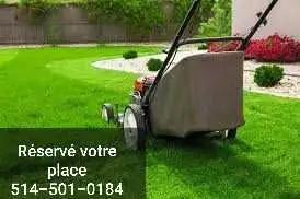 ⭐Coupe de gazon BAS PRIX⭐