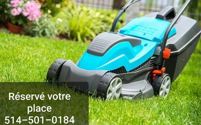 ⭐Coupe de gazon BAS PRIX⭐ - Photo 3