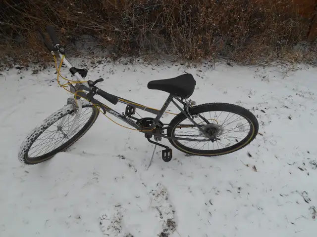 Pair of adult mountain bikes, 17 inch frames, 26 inch tires
