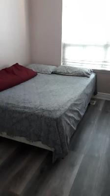 ROOM RENT IN MISSISSAUGA SQ 1 FOR SINGLE PERSON - Photo 3