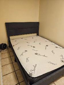 Private Bed Rooms for rent $700 / $750 (steeles and Hurontario) - Photo 6