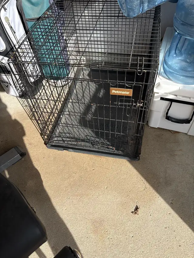 dog kennel