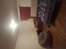 room for rent - Photo 5