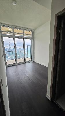 Penthouse Collection at Spadina & Blue Jays, 3 Concord Cityplace - Photo 8