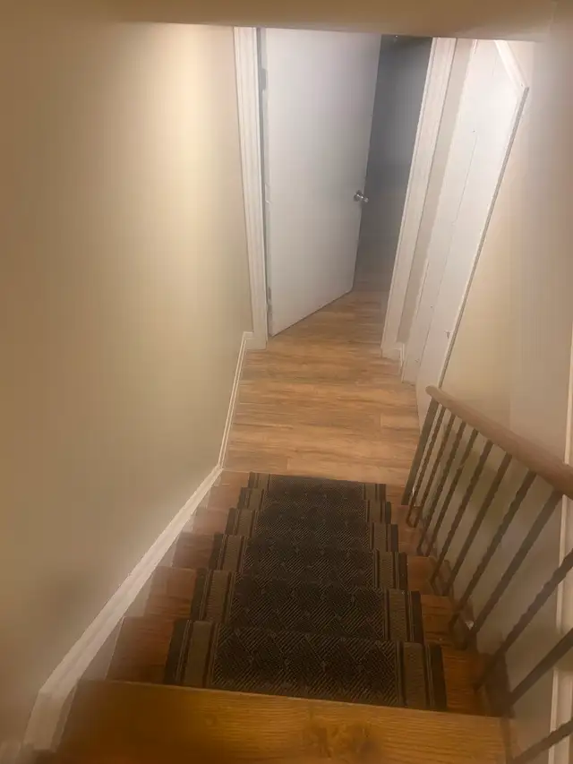 BASEMENT ROOM AVAILABLE