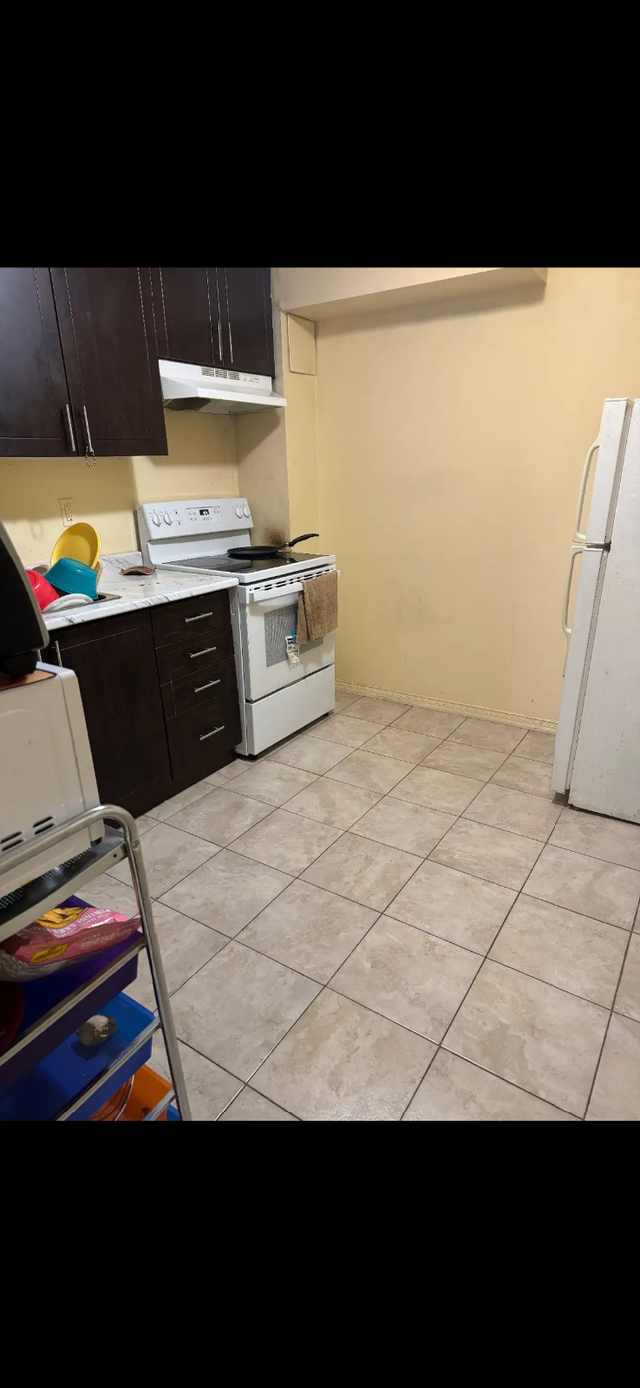 1 Bedroom basement apartment in Brampton for Rent - May 1, 2026 - Photo 4